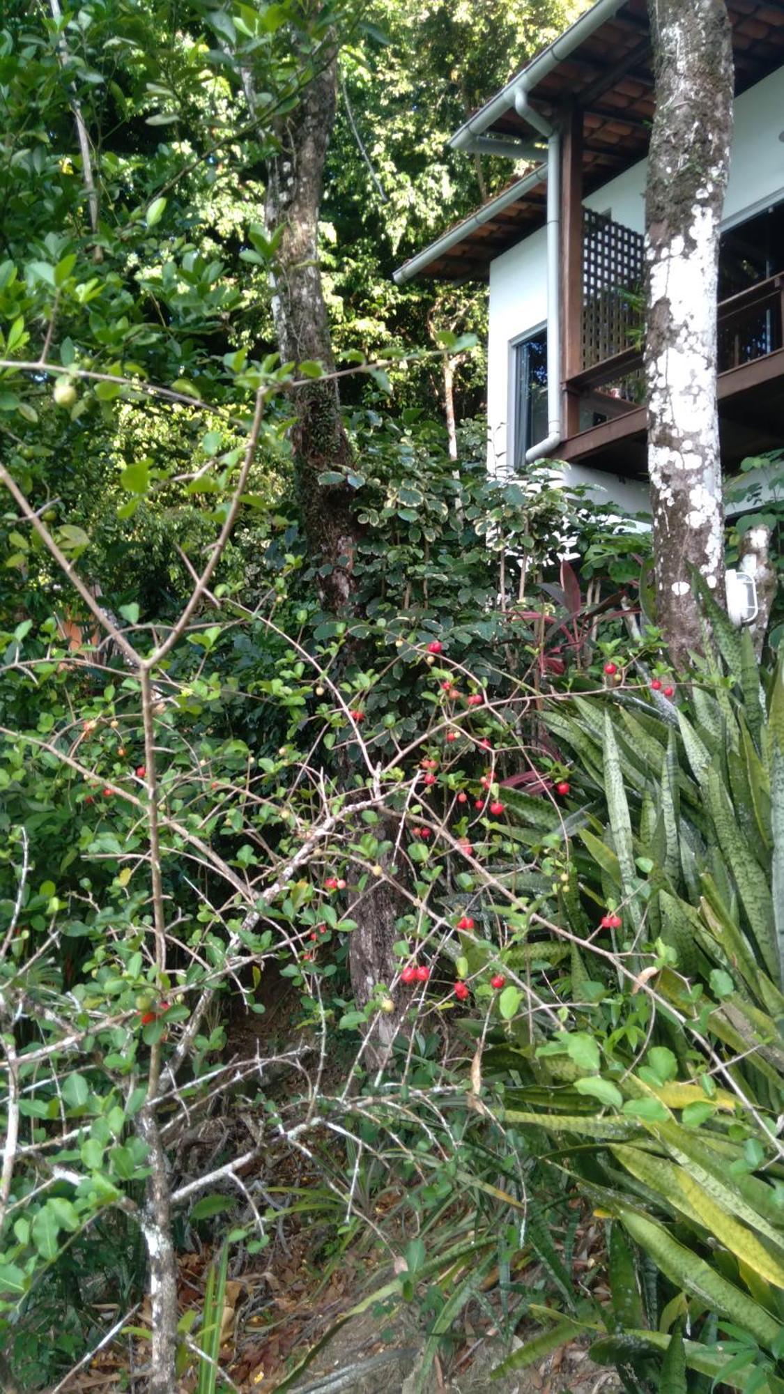 Casa Shuhari Villa Morro de São Paulo Kültér fotó
